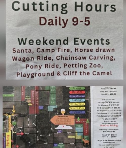 Tree Farm and Cliff.jpg